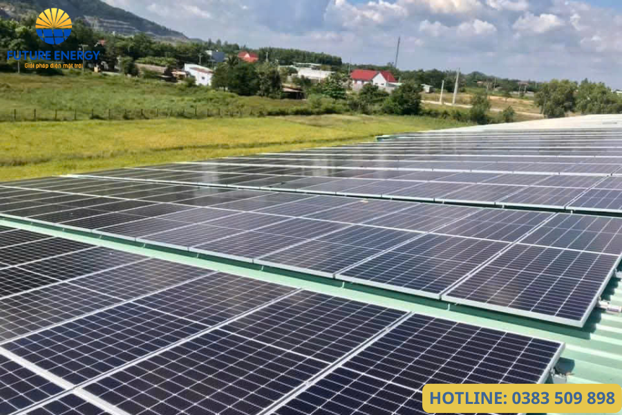 Công trình điện mặt trời thực tế do Future Energy triển khai